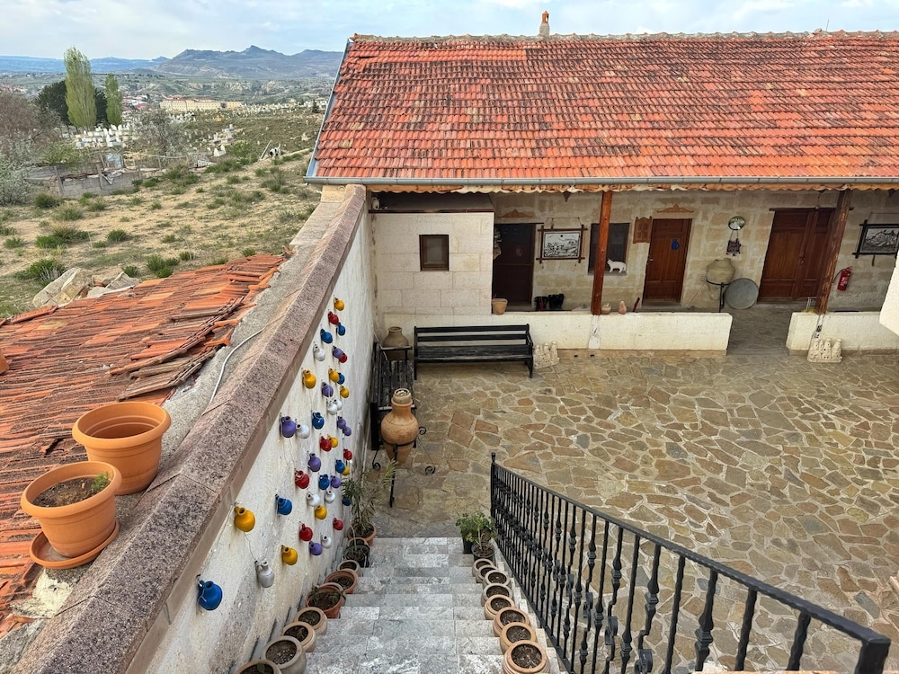 Bir Kedi Villa