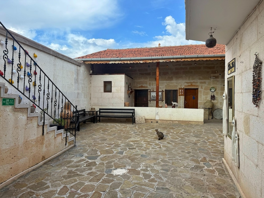 Bir Kedi Villa