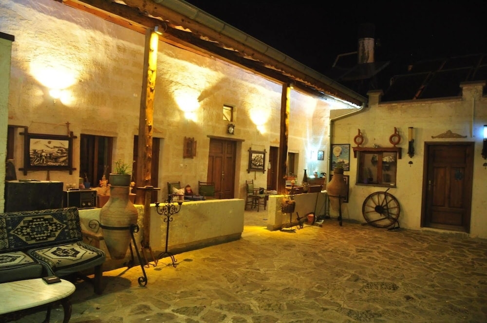 Bir Kedi Villa