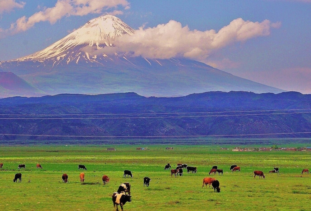 Hotel Ararat
