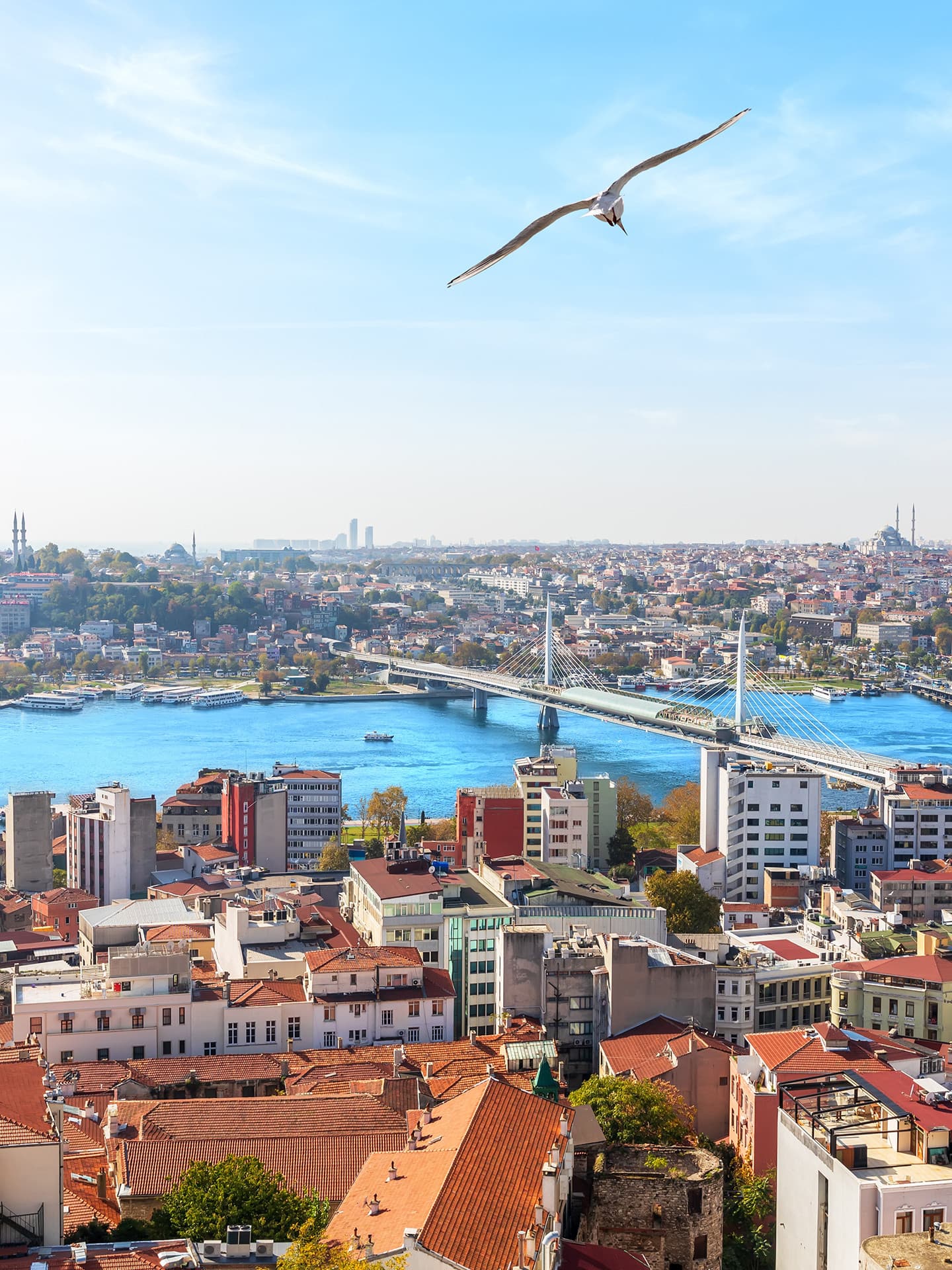İstanbul Resim
