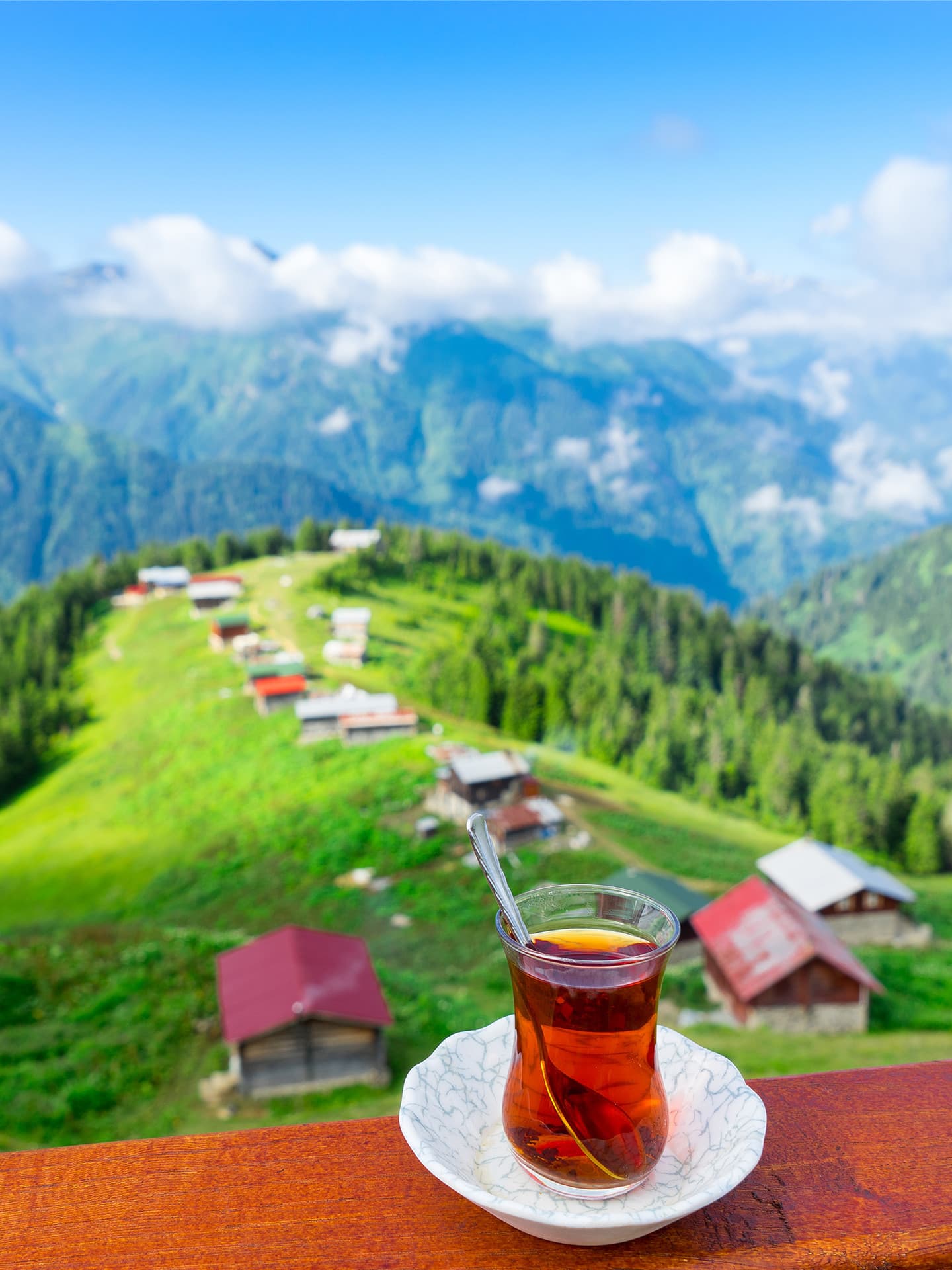 Rize Image