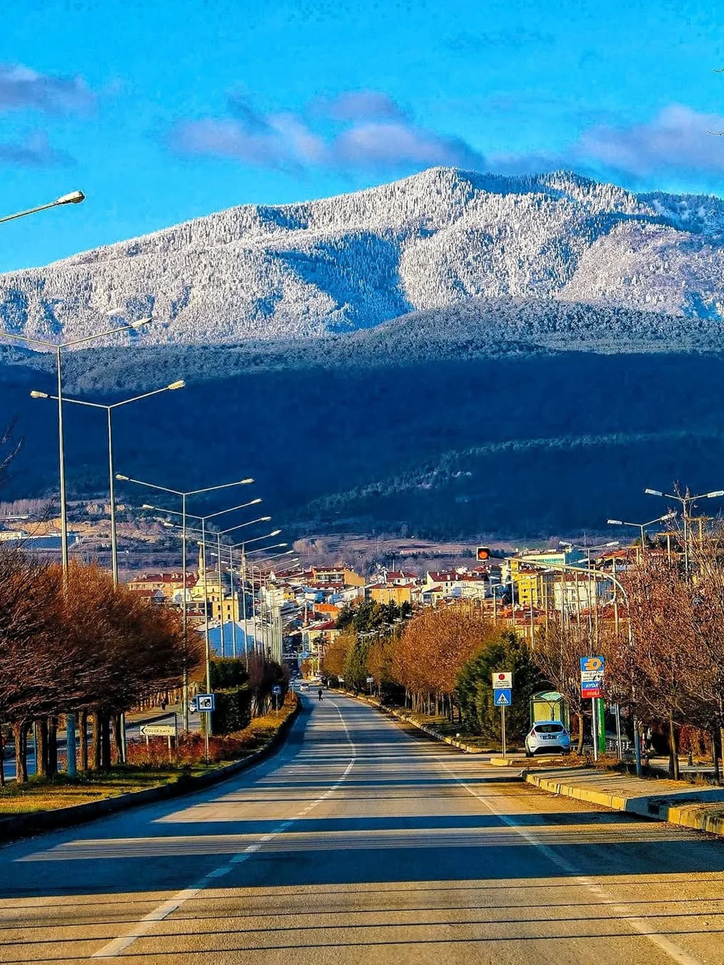 Bolu Resim