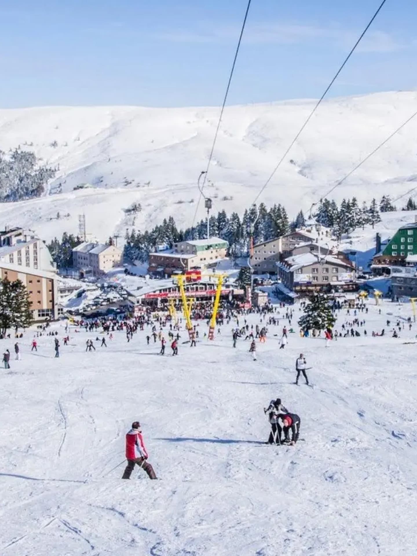 Bursa Image