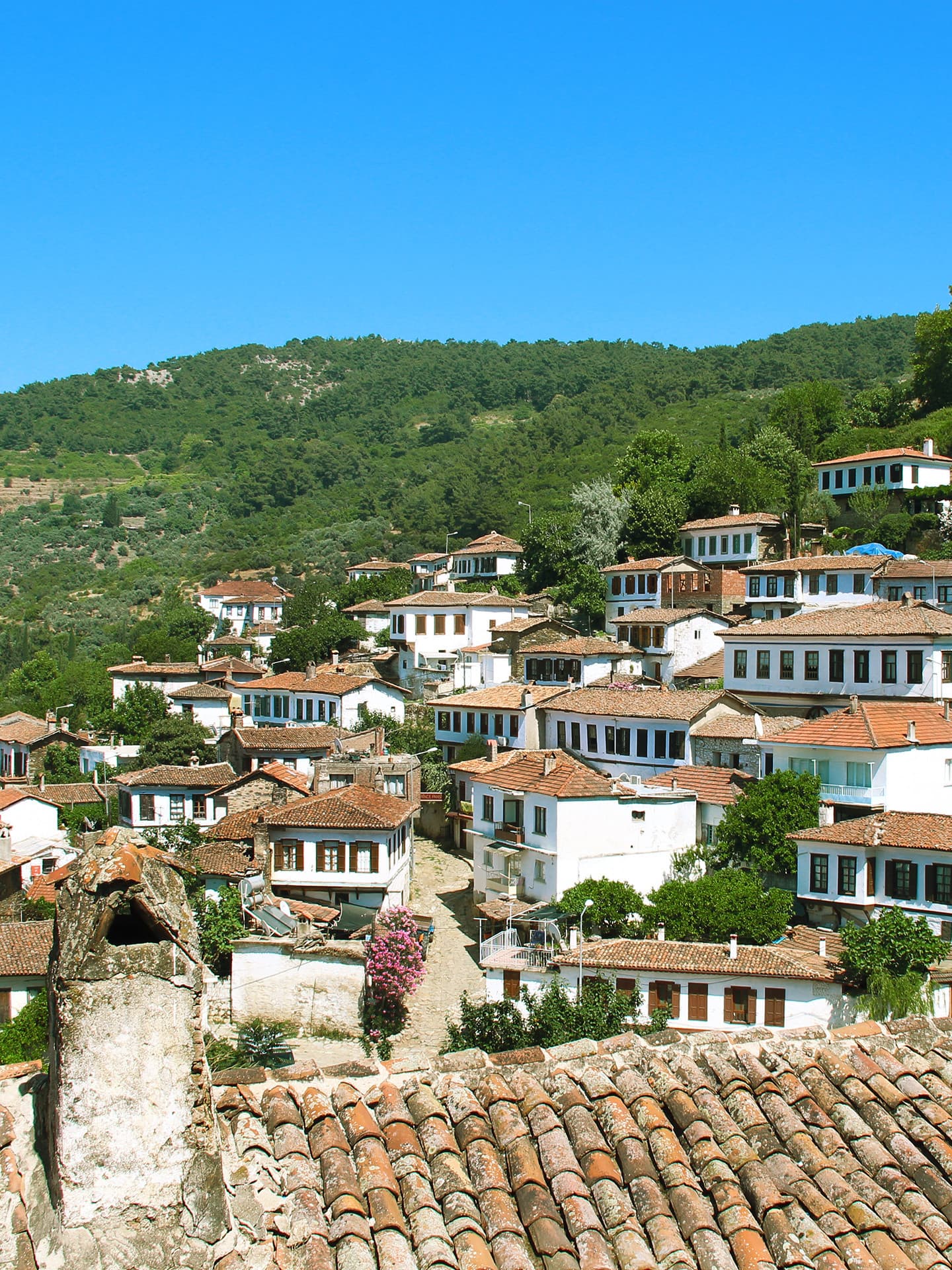 Şirince Resim