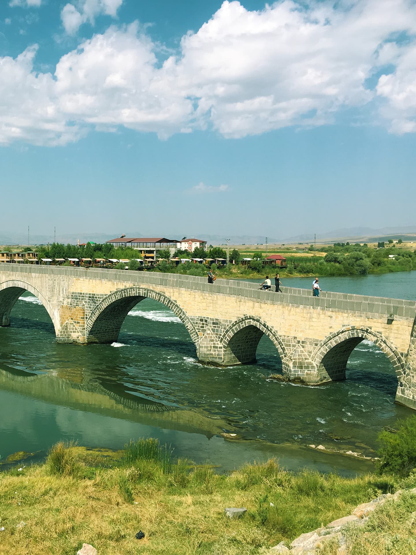 Muş Resim