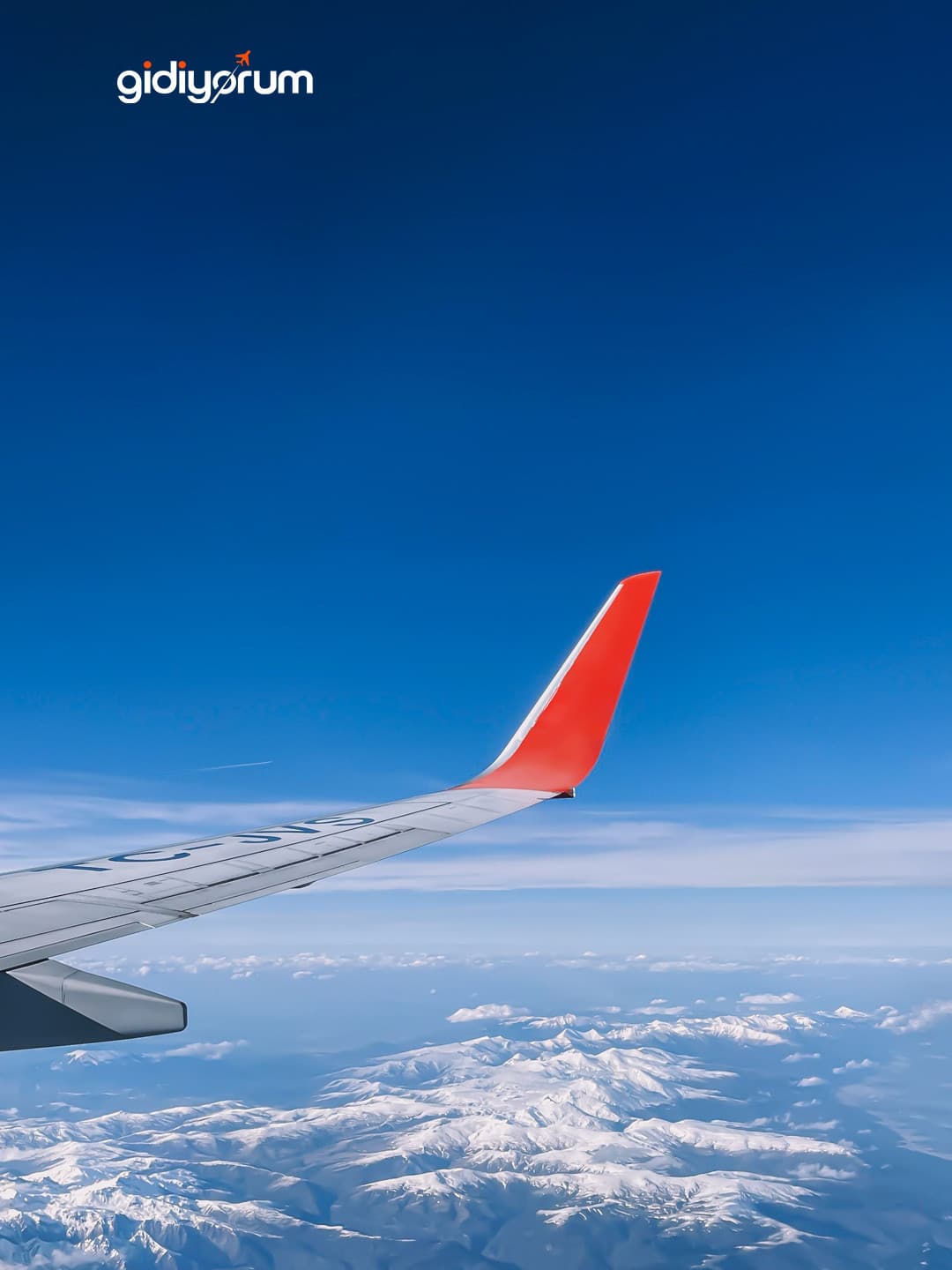 Mobil Biniş Kartı Nasıl Kullanılır? Online Check-in ve Uçuş Rehberi