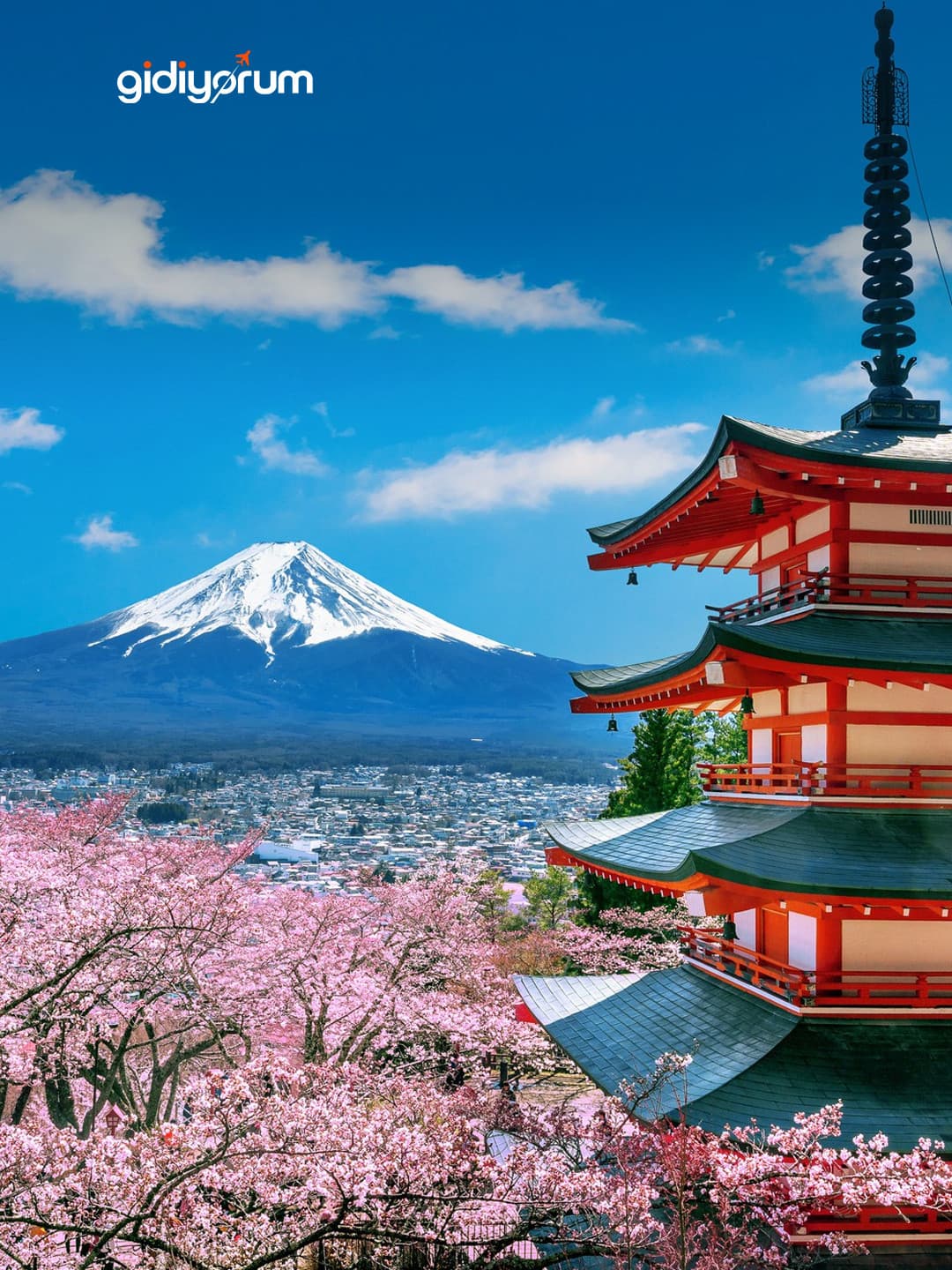 Japonya'ya Uçak Bileti Almadan Önce Vize Gerekir mi?