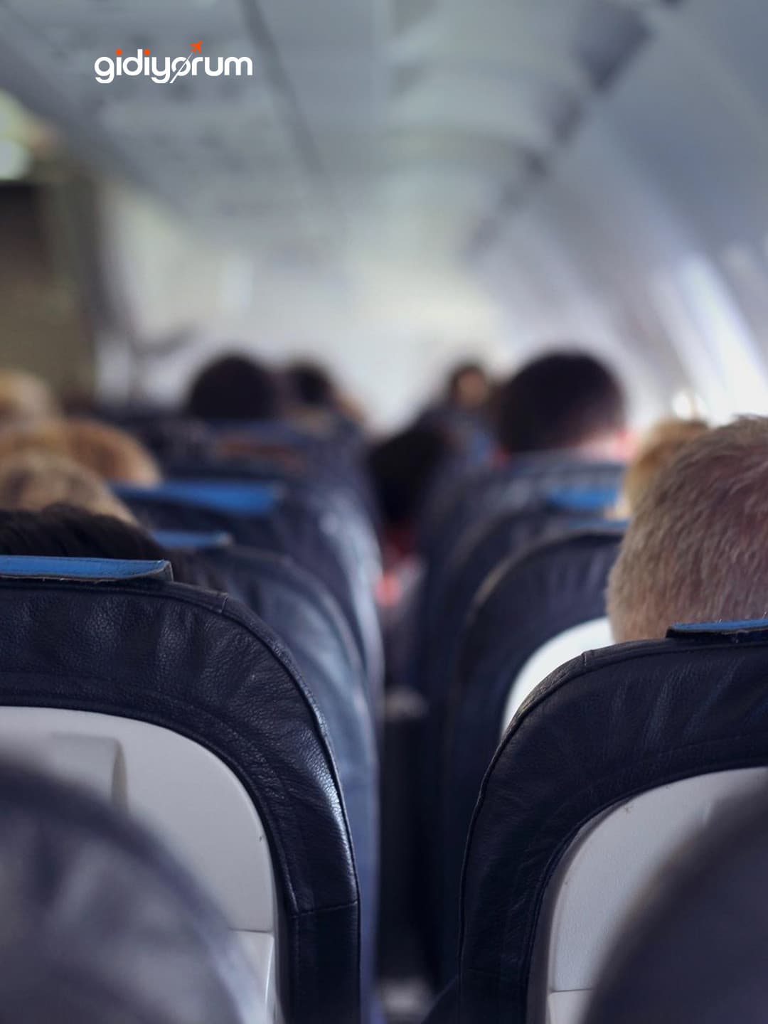 Which Airlines Have the Widest Seat Pitch?