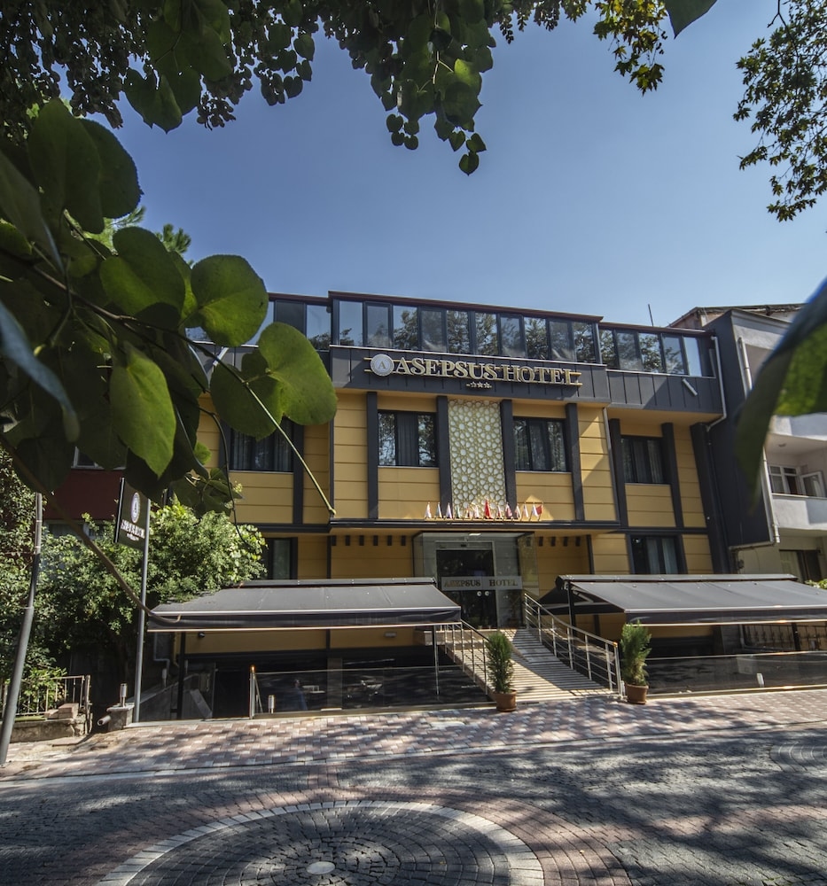 Asepsus Hotel