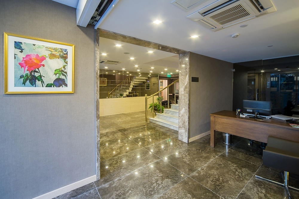 Molton Monapart Mecidiyekoy